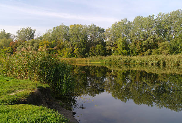 istock River landscape and  autumn wood 494315794