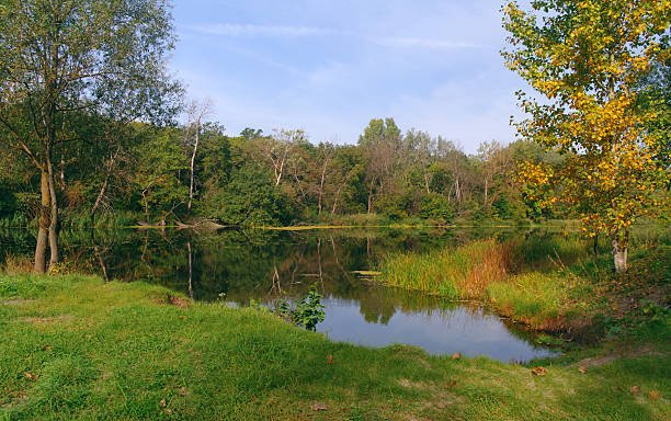 istock River landscape and  autumn wood 494315922