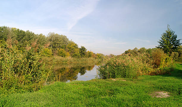 istock River landscape and  autumn wood 494315966