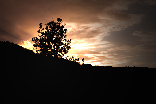 Mountain and a tree in silhouette photograph during sunset