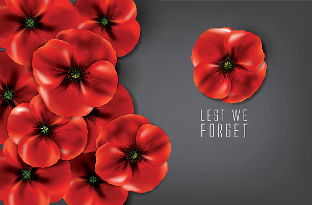 lest we forget - remembrance day background with red poppies and a text '' lest we forget '' for remembrance day in 11 November. remembrance day background stock illustrations