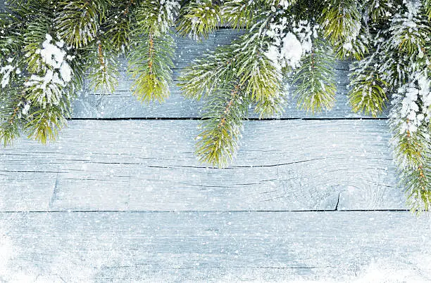 Old wood texture with snow and firtree christmas background