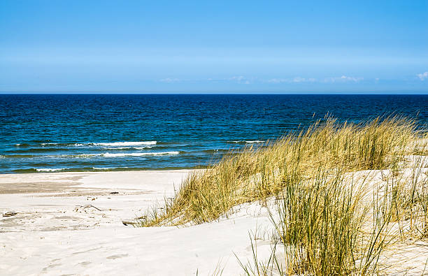 istock Beach sea view and grass sand dune, Leba, Baltic Sea. 494319034