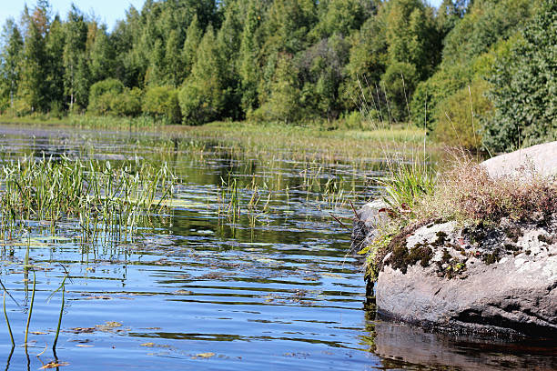 istock landscape stone on the lake 494320168