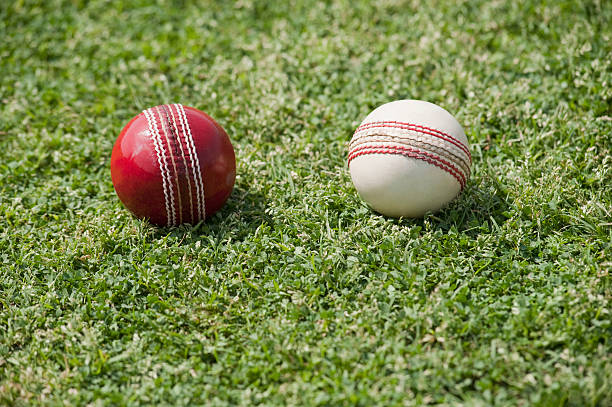 istock Close-up of two cricket balls on grass 494338732