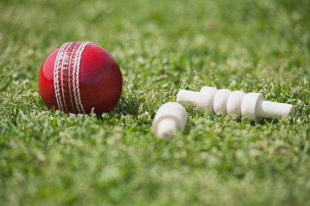istock Close-up of a cricket ball with bails 494338886