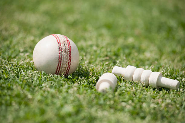 istock Close-up of a cricket ball with bails 494339062
