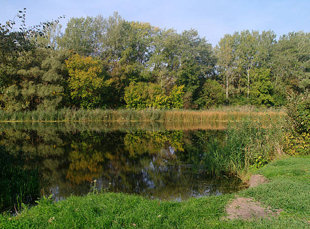 istock River landscape and  autumn wood 494339926