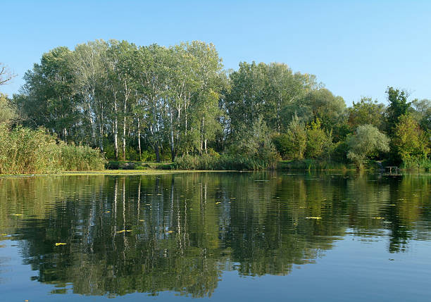 istock River landscape and  autumn wood 494339938
