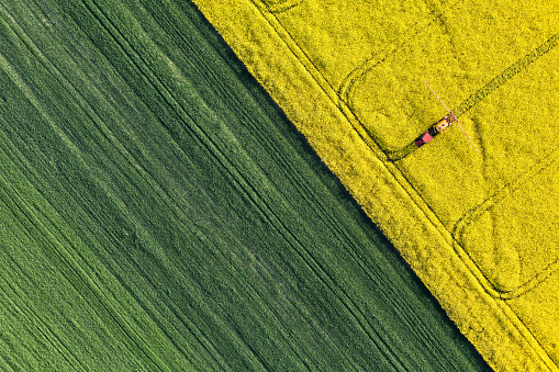 Vista aérea del harvest campos de tractor photo