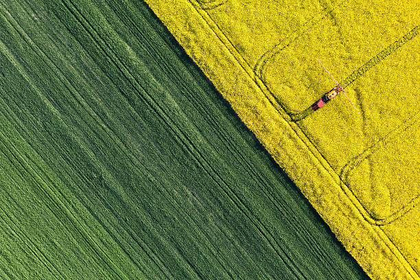 vue aérienne de récolte avec un tracteur champs - aerial view mid air farm field photos et images de collection