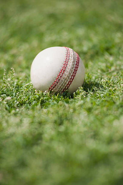 istock Close-up of a cricket ball on grass 494340216