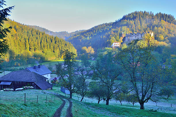 istock Reichenstein - Old Castle ruin in austrian nature sanctuary 494342422