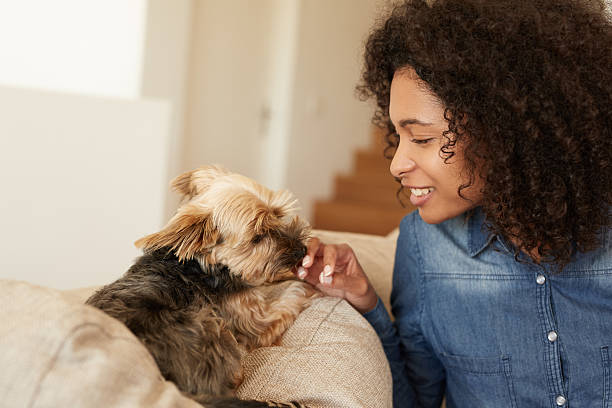 istock You had me at woof 494342974