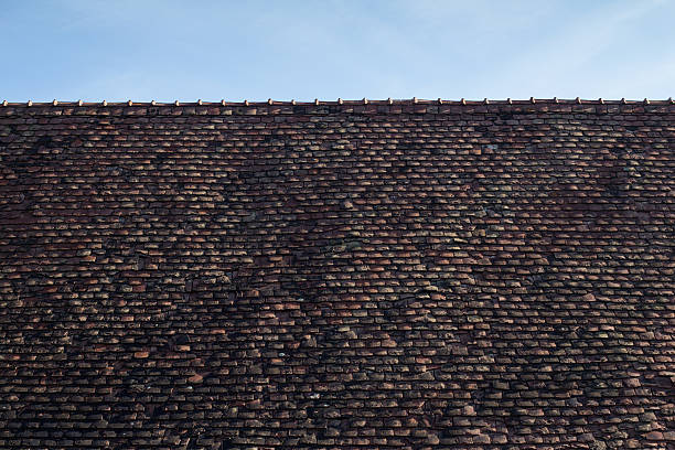 istock Tile roof from Viscri, Transylvania 494342980