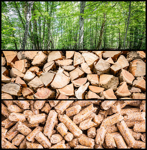 istock wood pellet  for heating 494344454