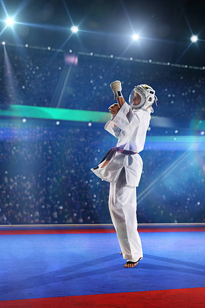 istock Kudo fighter is working out on the grand arena 494345002