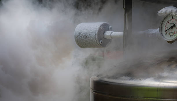 smoky de descarga de gas de nitrógeno - criobiología fotografías e imágenes de stock