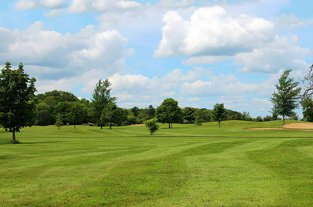 istock Golf course with sandy bunker trap, trees and putting green 494346227