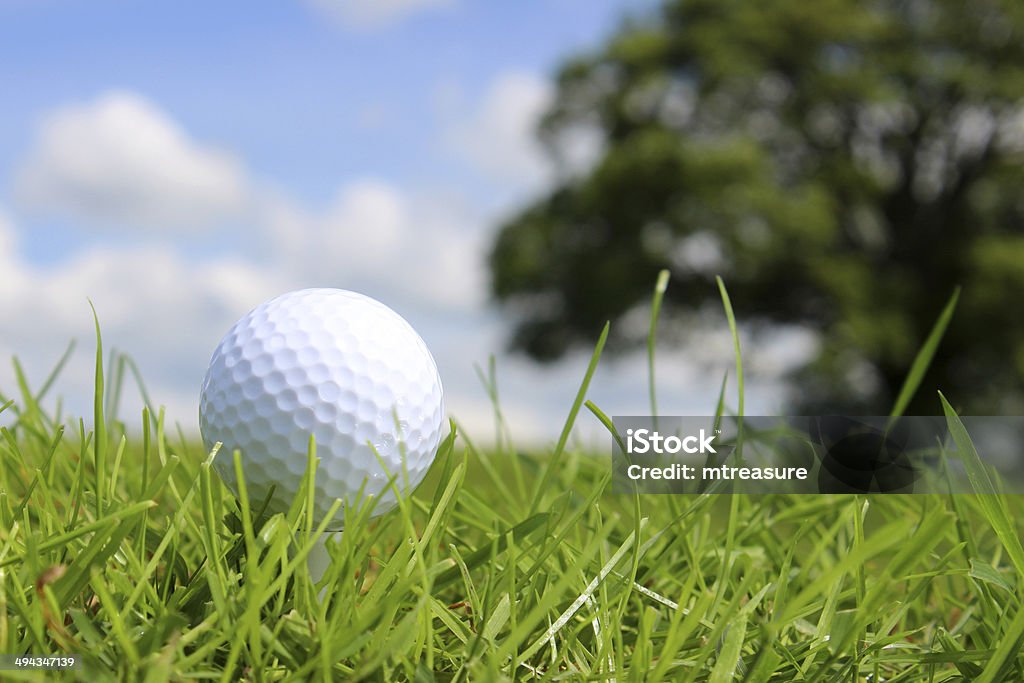 Крупным планом Мяч для гольфа в Трава на поле для гольфа, небесно-голубой - Стоковые фото Без людей роялти-фри