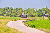 road-to-cottage.jpg?b=1&s=170x170&k=20&c=pJPn3EFDVbZTUrgnMIBgZ5Qo38iSUiAKM3cvriUUneY=
