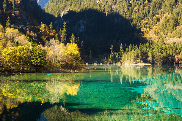 istock Five Flower Lake is in Jiuzhaigou 494349752