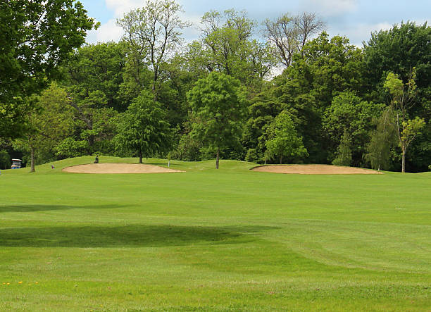 istock Golf course with sandy bunker trap, trees and putting green 494351563