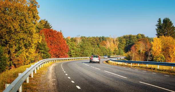 autos bewegen auf der highway road - fern nature leaf forest stock-fotos und bilder
