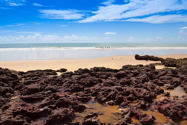 Golden coast,Costa Dourada,Espirito Santo Bahia Brazil stock photo