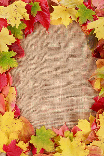 istock Frame of autumn leaves 494352622