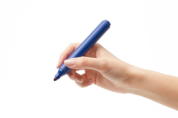 gesto de marcador - human hand pencil women sketching imagens e fotografias de stock