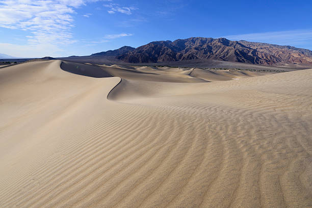 istock Dunes in Death Valley 494353735