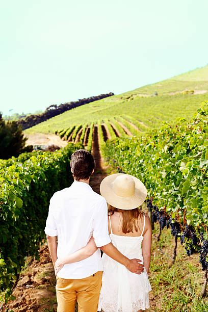 istock Young couple embrace, looking out over idyllic vineyard 494353815