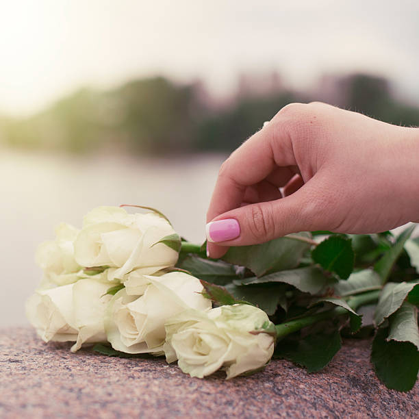 istock Bouquet of white roses and hand 494354190