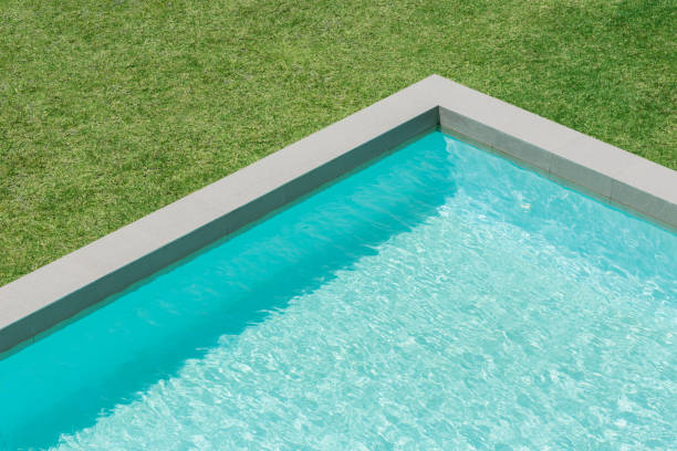 vista soleada de la piscina en el patio trasero - lap pool fotos fotografías e imágenes de stock