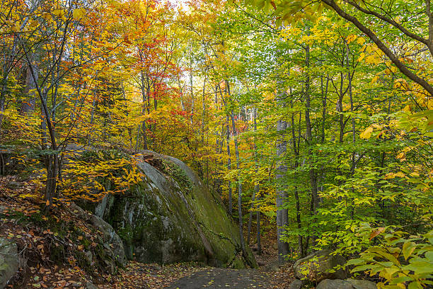 istock Large Precambrian Rock Next to a Trail - Ontario, Canada 494376876