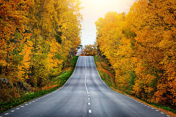 istock Fall scenic road in Sweden 494379628