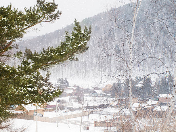 Winter landscape in