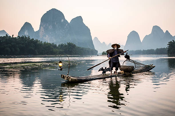 istock cormorant fisherman 494386656