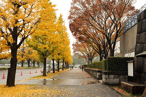 istock Autumn in tokyo. 494388370