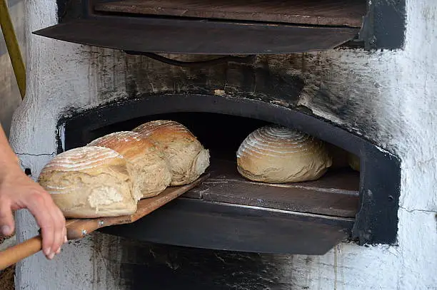 freshly baked bread out of an old timey wood fired oven