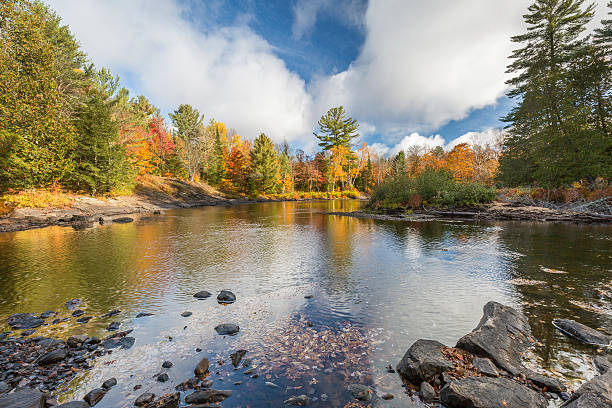 istock River Flowing Through a Forest in Autumn - Ontario, Canada 494389026