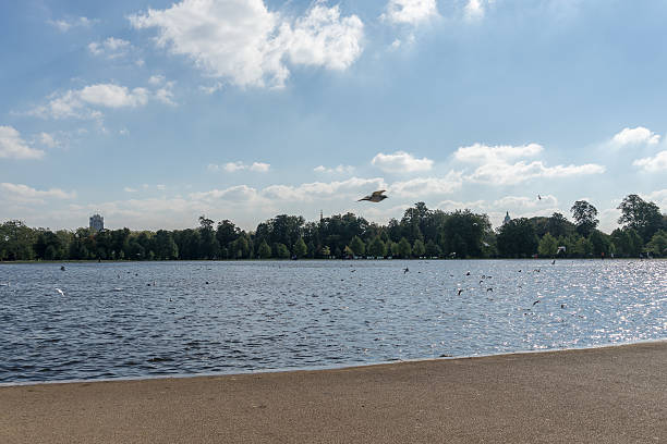 Huge Duck Pond in the Parks