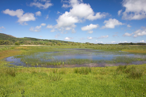 View from the Bruaich hide at RSPB Mersehead Nature Reserve, Southwick, Dumfries and Galloway, Scotland, UK.