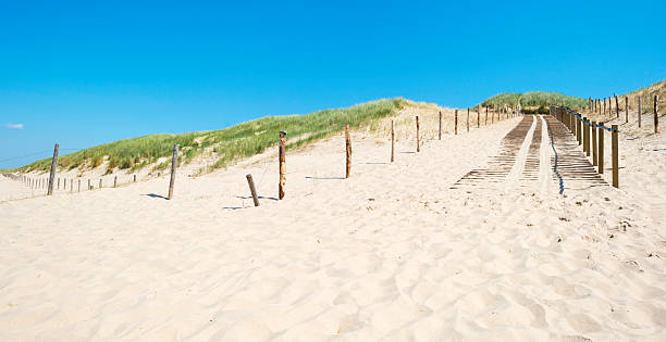 istock Footpath through a dune of the dutch coast 494398531