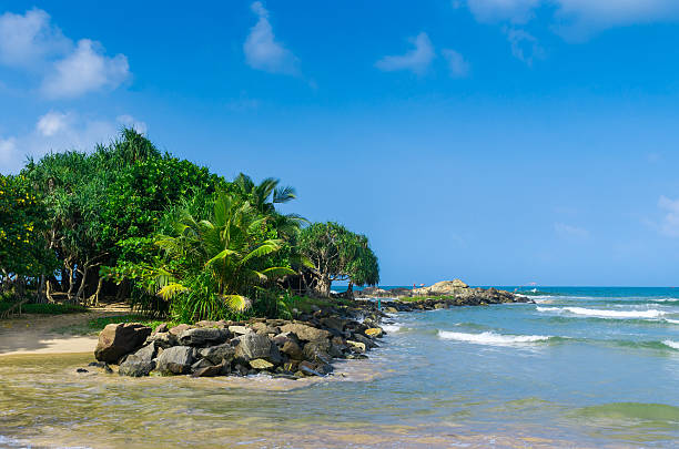 istock Tropical beach in Sri Lanka 494399169