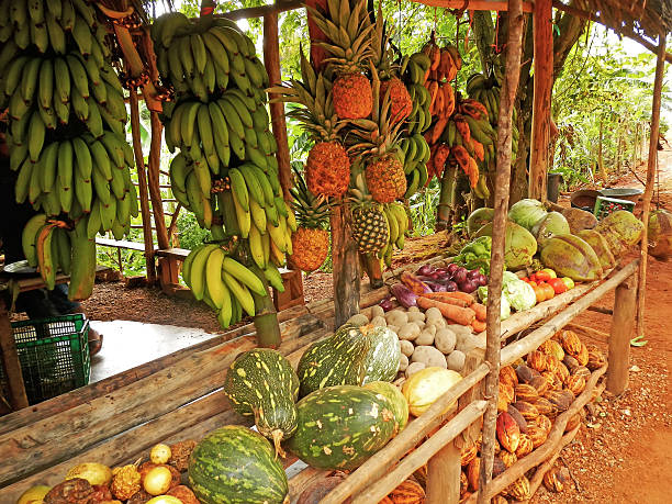 istock Fruit stand in small village, Samana peninsula 494400921