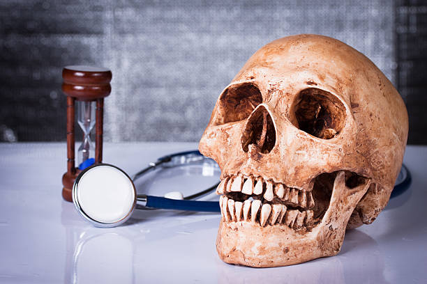 istock Medical concept, weathered human skull and stethoscope 494401457
