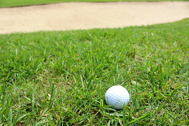 istock Close-up golf ball in grass on golf course, sandy bunker 494411681