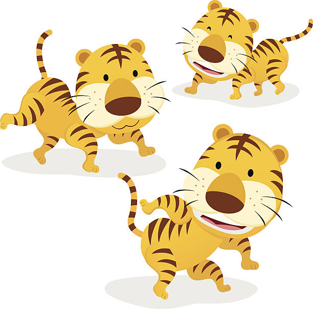 illustrations, cliparts, dessins animés et icônes de trois tigers - big cat fun cute yellow